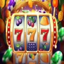 5677bet